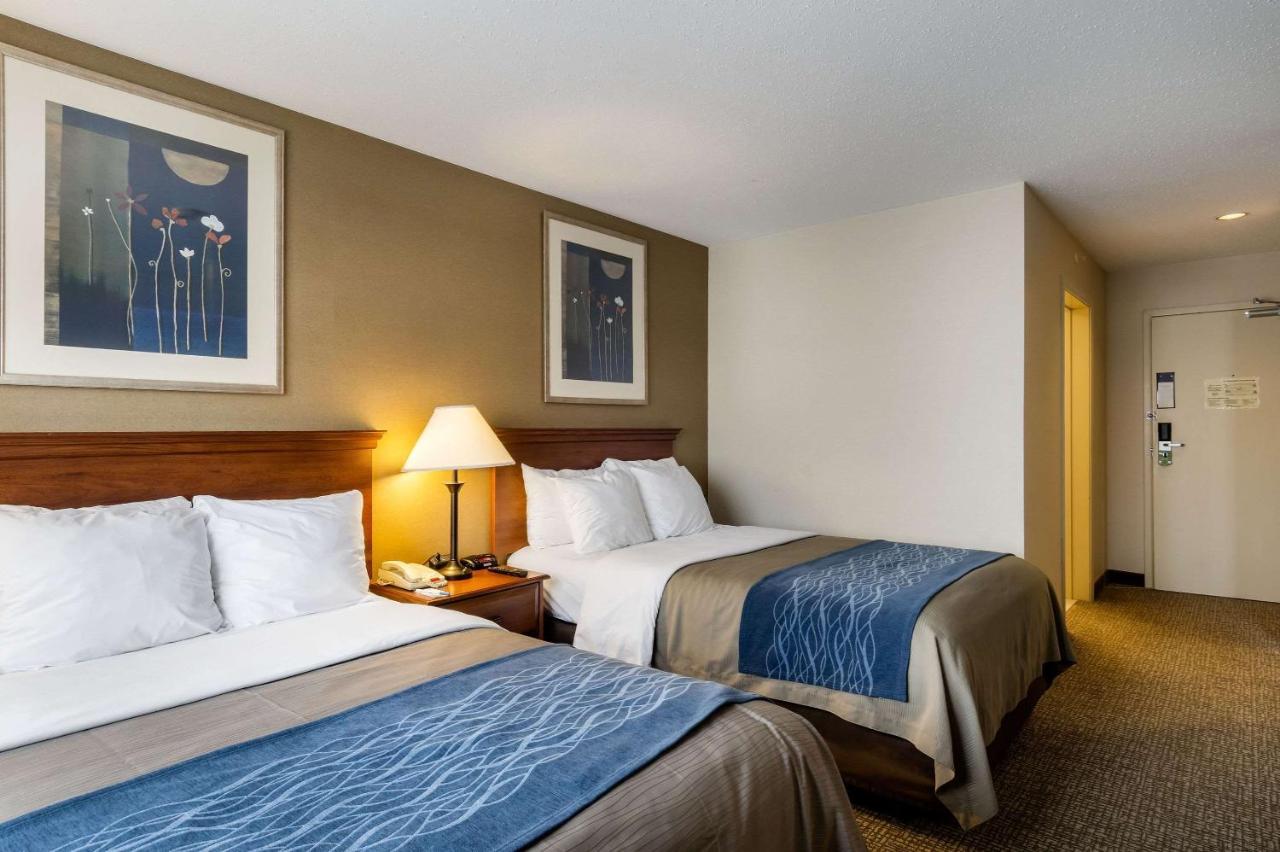 Towneplace Suites By Marriott Hadley Amherst エクステリア 写真